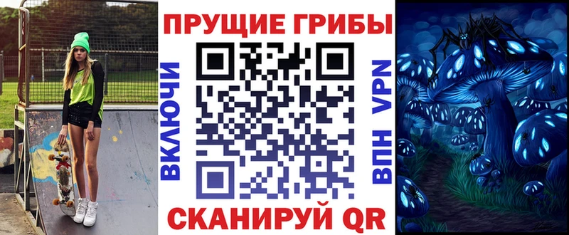 как найти закладки  Ленинск-Кузнецкий  Галлюциногенные грибы мицелий 