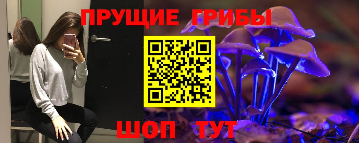 Ленинск-Кузнецкий  Галлюциногенные грибы ЛСД  Вход с VPN 