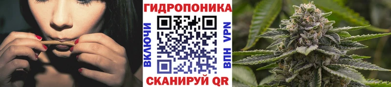 Бошки марихуана Amnesia  Ленинск-Кузнецкий 